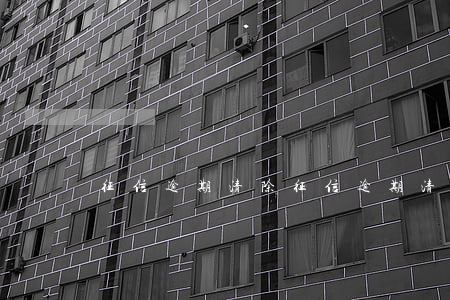 征信逾期清除(征信逾期清除后能貸款買車嗎?)