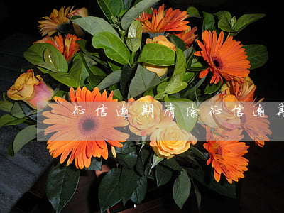 征信逾期清除(征信逾期清除后能贷款买车吗?)