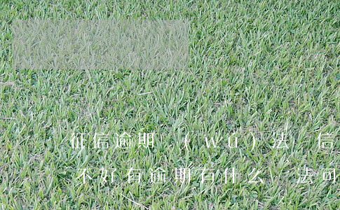 征信逾期無(wú)法辦信用卡怎么辦(征信不好,有逾期,有什么辦法可以辦信用卡)