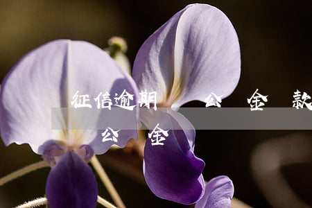 征信逾期無錫公積金貸款(征信逾期7次無法貸公積金)