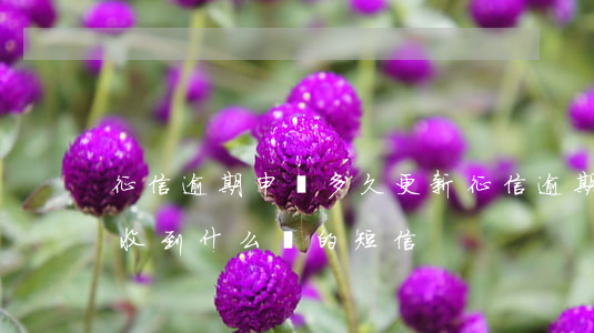 征信逾期申訴多久更新(征信逾期申訴成功,會收到什么樣的短信?)