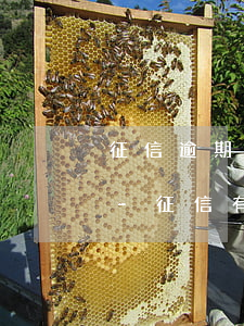 征信逾期申請(qǐng)什么信用卡好下-征信有逾期能不能申請(qǐng)信用卡