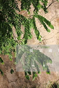 征信逾期申請(qǐng)信用卡被拒(沒(méi)有逾期為什么申請(qǐng)信用卡被拒)