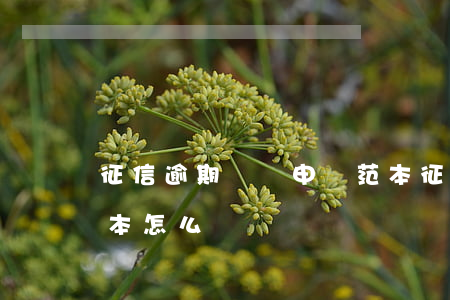 征信逾期異議申請范本(征信逾期異議申請范本怎么寫)