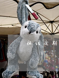 征信逾期的不能做什么(征信逾期不能干什么)