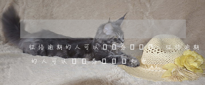 征信逾期的人可以開證券賬戶嗎-征信逾期的人可以開證券賬戶嗎知乎