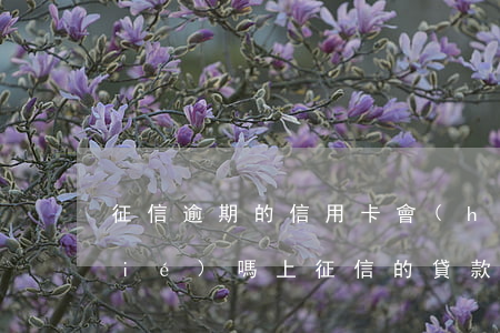 征信逾期的信用卡會(huì)被凍結(jié)嗎(上征信的貸款平臺(tái)逾期能凍結(jié)所有銀行卡嗎)