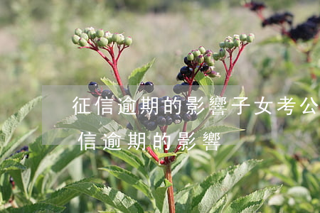 征信逾期的影響子女考公務(wù)員嗎（征信逾期的影響）