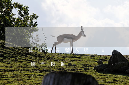 征信逾期禁入規(guī)定-征信逾期有哪些限制