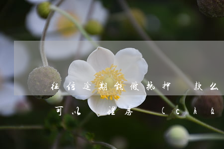 征信逾期能做抵押貸款么(征信有較大的逾期,可以辦理房產(chǎn)抵押貸款)