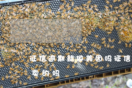 征信逾期能做美团吗(征信逾期了可以做送外卖的吗)