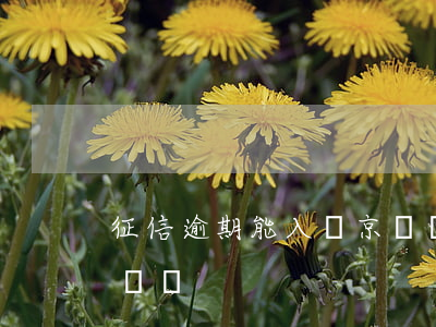 征信逾期能入職京東嗎(征信不好可以入職京東嗎)