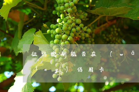 征信逾期能否在網(wǎng)上申請(qǐng)信用卡