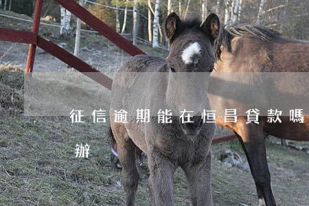 征信逾期能在恒昌貸款嗎(恒昌上征信了怎么辦)