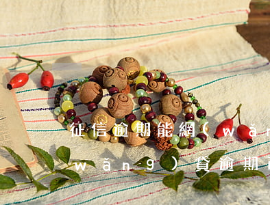 征信逾期能網(wǎng)貸的app(網(wǎng)貸逾期已上征信該怎么辦)