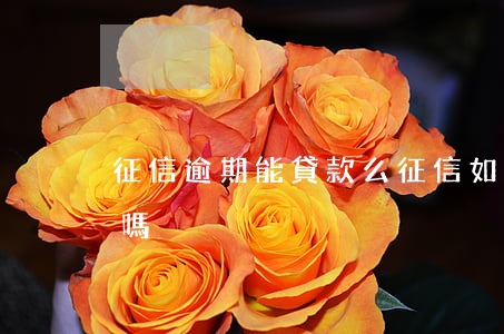 征信逾期能貸款么(征信如果有逾期可以貸款嗎)
