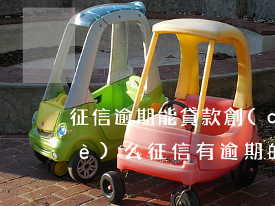 征信逾期能貸款創(chuàng)業(yè)么(征信有逾期的可以注冊公司嗎)