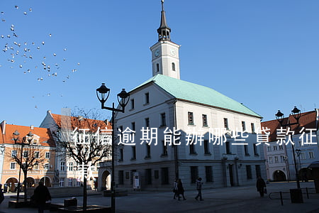 征信逾期能辦哪些貸款(征信逾期能辦哪些貸款)