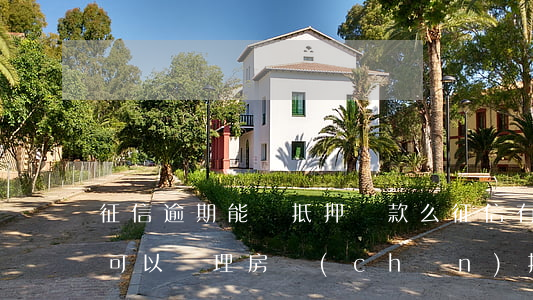 征信逾期能辦抵押貸款么(征信有較大的逾期,可以辦理房產(chǎn)抵押貸款)