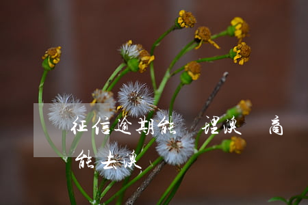 征信逾期能辦理澳門商務簽證嗎-征信逾期能去澳門嗎