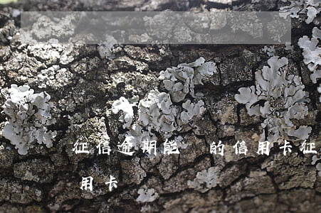 征信逾期能辦的信用卡（征信逾期了可以辦信用卡）
