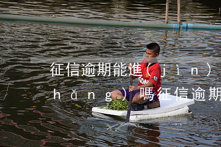 征信逾期能進(jìn)機(jī)場(chǎng)嗎(征信逾期不能坐飛機(jī)嗎)