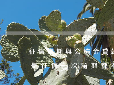 征信逾期與公積金貸款(公積金貸款買房是不是征信一次逾期都不行)