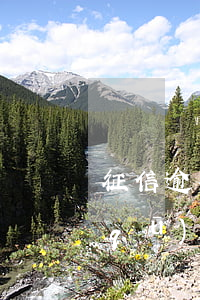 征信逾期與失信被執(zhí)行人的區(qū)別-征信逾期與失信被執(zhí)行人的區(qū)別?