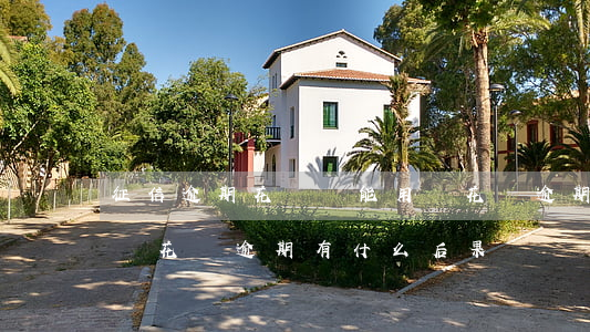 征信逾期花唄還能用嗎(花唄逾期半年上征信嗎?花唄逾期有什么后果)