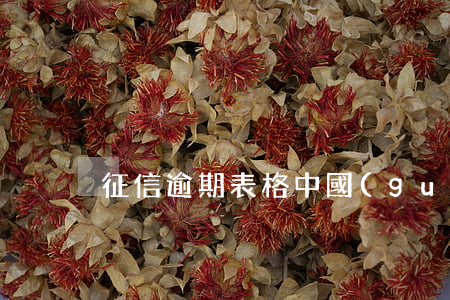 征信逾期表格（中國(guó)征信逾期樣板）