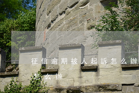 征信逾期被人起訴怎么辦(征信逾期被人起訴怎么辦)