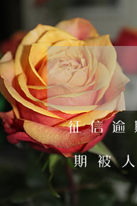 征信逾期被人起訴會(huì)怎樣(征信逾期被人起訴會(huì)怎樣)