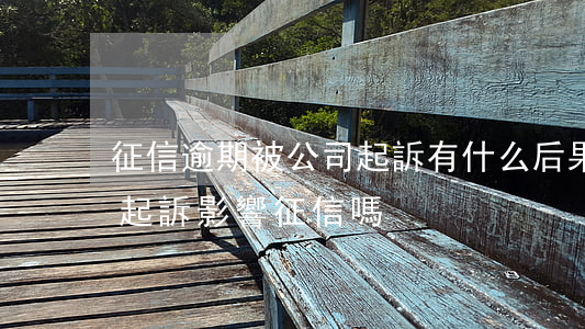征信逾期被公司起訴有什么后果-公司有被起訴影響征信嗎