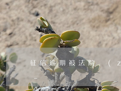 征信逾期被法院執(zhí)行有什么后果-