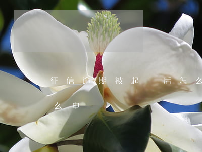 征信逾期被起訴后怎么處理-征信有逾期怎么申訴
