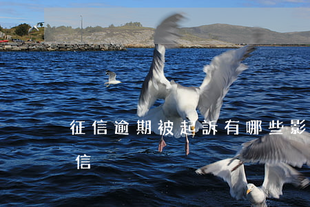 征信逾期被起訴有哪些影響 逾期是否影響征信