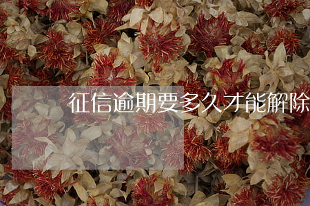 征信逾期要多久才能解除黑名單-