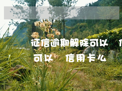 征信逾期解除可以辦信用卡么(征信逾期解除可以辦信用卡么)