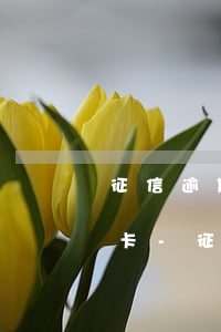 征信逾期記錄1條會(huì)影響辦信用卡-征信逾期記錄1條會(huì)影響辦信用卡嗎
