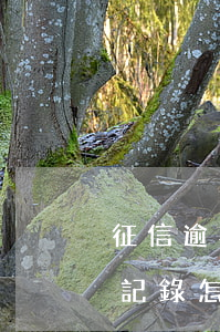 征信逾期記錄可以車貸嗎（車貸有信用卡逾期記錄怎么辦）