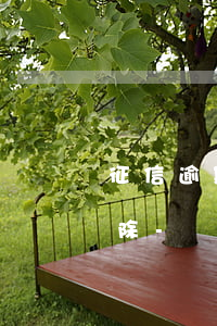 征信逾期記錄多久可以自動(dòng)消除-