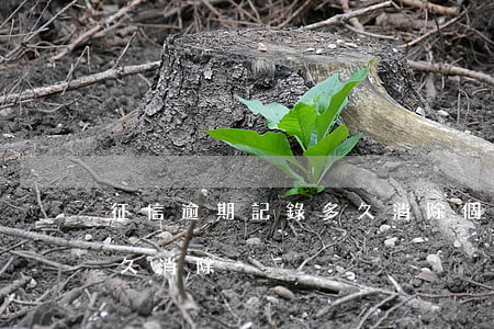 征信逾期記錄多久消除?（個人征信逾期記錄多久消除）