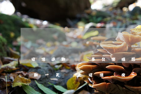 征信逾期記錄多久消除后影響買房嗎(房貸逾期一天會上征信嗎?房貸逾期記錄多久消除?)