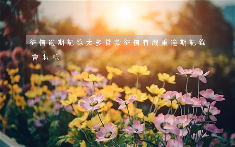 征信逾期記錄太多貸款(征信有嚴重逾期記錄會怎樣)