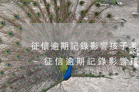 征信逾期記錄影響孩子考公務(wù)員嗎-征信逾期記錄影響孩子考公務(wù)員嗎知乎