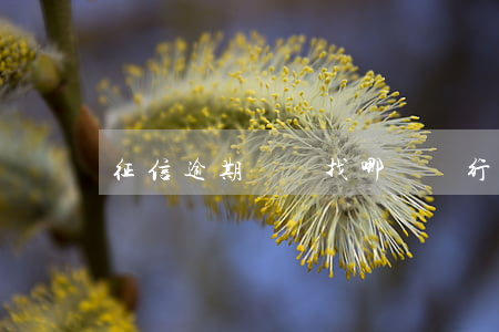 征信逾期記錄找哪個銀行(征信逾期找誰)