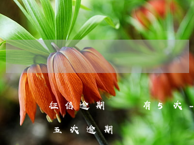 征信逾期記錄有5次-個(gè)人征信有五次逾期記錄
