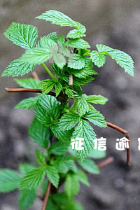 征信逾期記錄有(征信逾期消除)