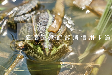 征信逾期記錄（消信用卡逾期記錄）