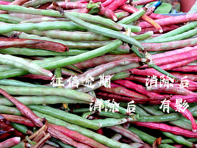 征信逾期記錄消除后還有影響嗎-征信逾期記錄消除后還有影響嗎知乎
